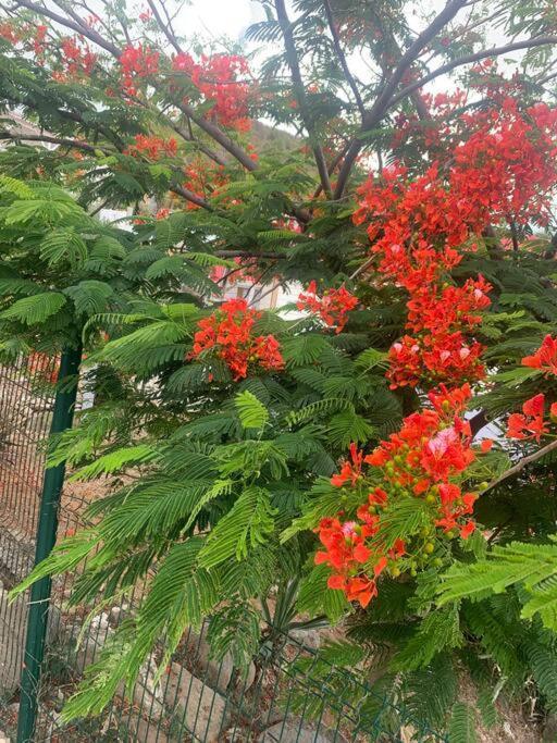 Appart Adorable Proche De La Baie Orientale, Idolem Residence Unite 2 - 57 Rue Du Mont Vernon 1 Cul de Sac ภายนอก รูปภาพ